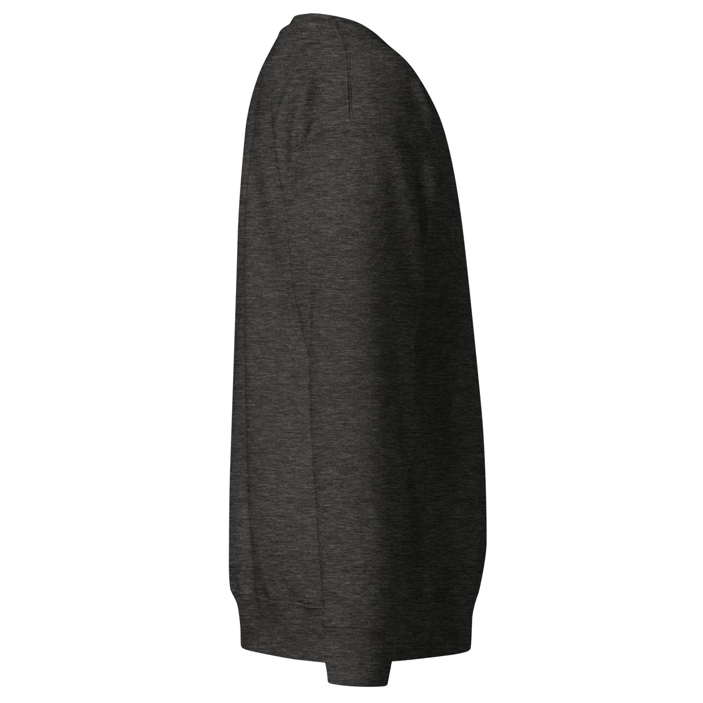 Unisex Premium Sweatshirt 'Origin Point' by RN149855