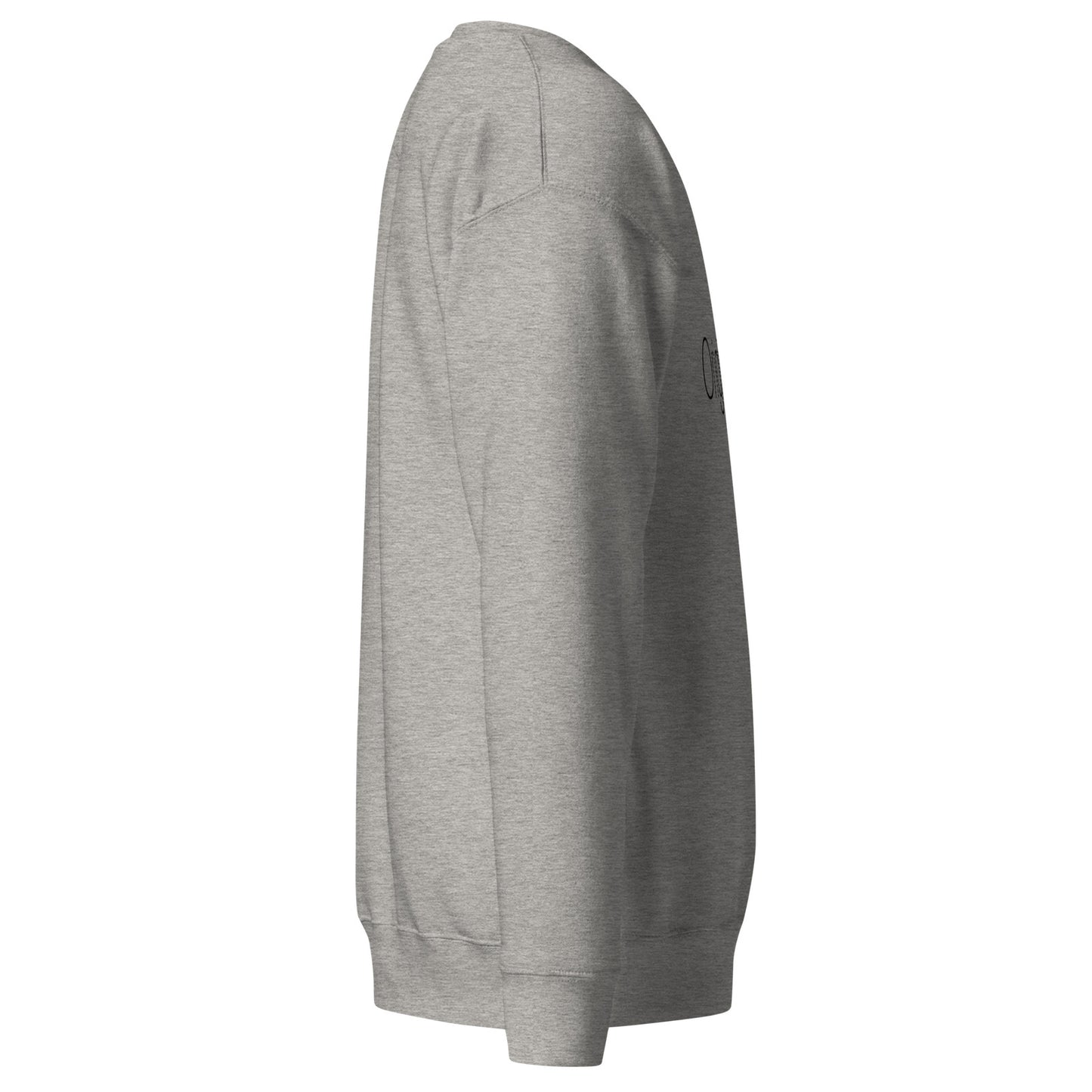 Unisex Premium Sweatshirt 'Origin Point' by RN149855